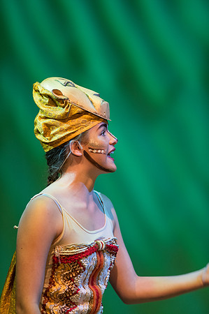 Lion King (92 of 484).jpg