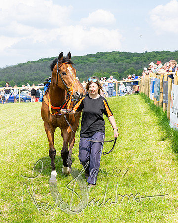 Race 3 - Ladies Open  (3 of 133)