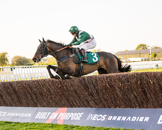 Race 5 - ITM Mares'  (36 of 181)