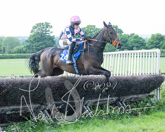 Race 5  - Maiden race 2m5F Div-2 (154 of 205)