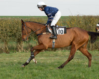 Race 6 - Open Maiden Race (15 of 99).jpg