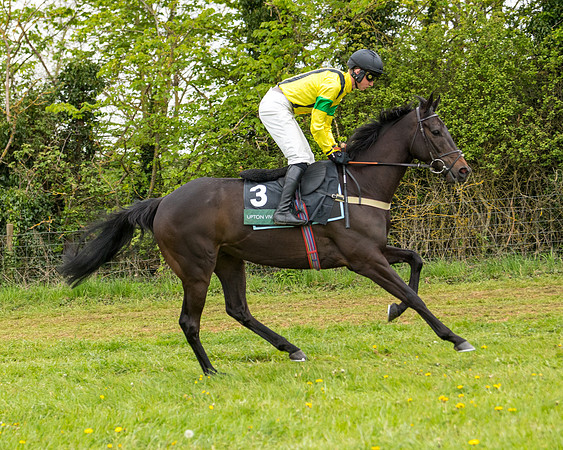 Race 7 - Open Maiden  (30 of 106)