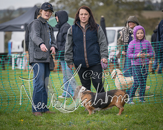 Bicester - Dog Show (10 of 106)