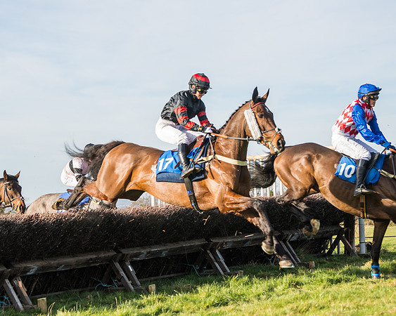 Race 5 - Restricted (23 of 146)