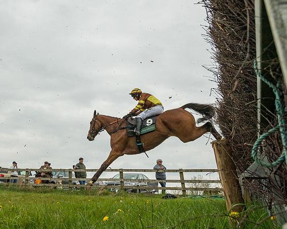 Race 2 - Jockey Club ROR veteran Horse (57 of 104)