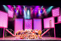Legally Blonde The Musical