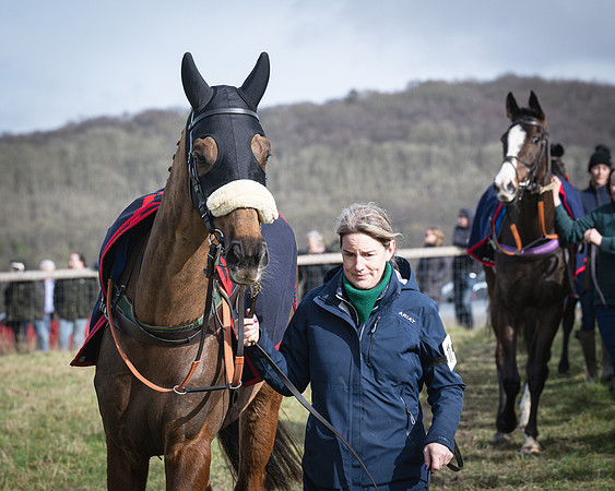 Race 3 - The Maiden Conditions (6 of 214)