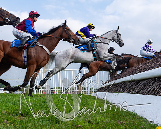 Race 2 - Ladies Open Final (34 of 94)