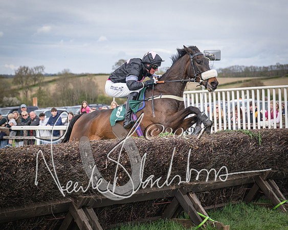 Race 3 - 5 years old and Over Maiden Race (78 of 130)