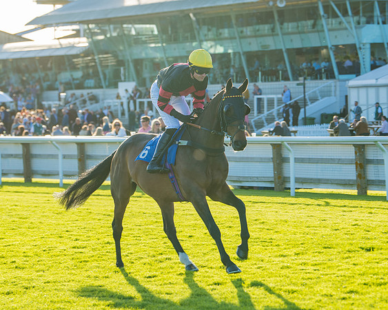 Race 5 - White Swan Hotel Handicap (7 of 80)
