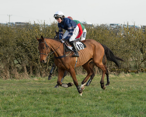 Race 6 - Open Maiden Race (11 of 99).jpg