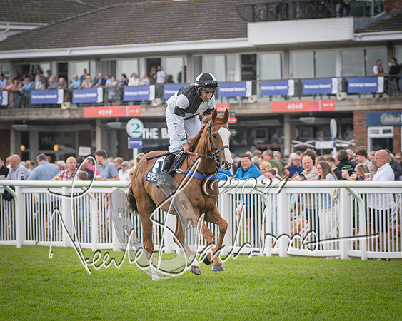 Race 1 - Pointing Pointers Restricted Final (25 of 79)