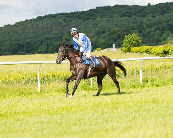 Race 6 - Open Maiden (53 of 227)