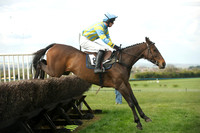 Southern Grand National  19