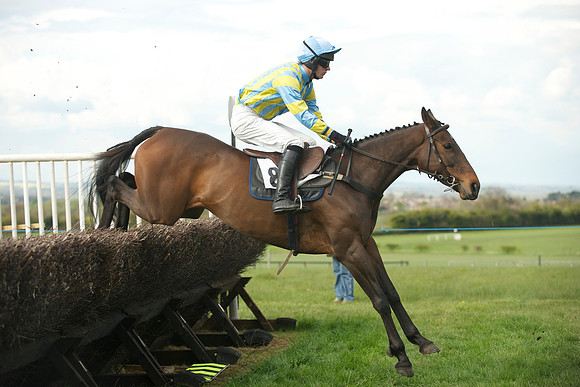 Southern Grand National  19
