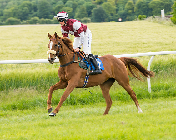 Race 1 - Owner Trainer Conditions  (35 of 133)