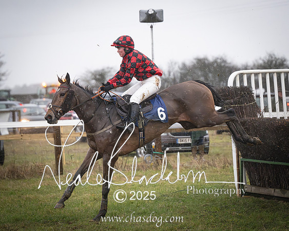 Race 7 - 3m Maiden (28 of 94)