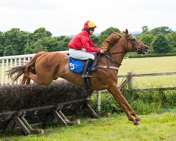Race 5 - Restricted  (97 of 136)