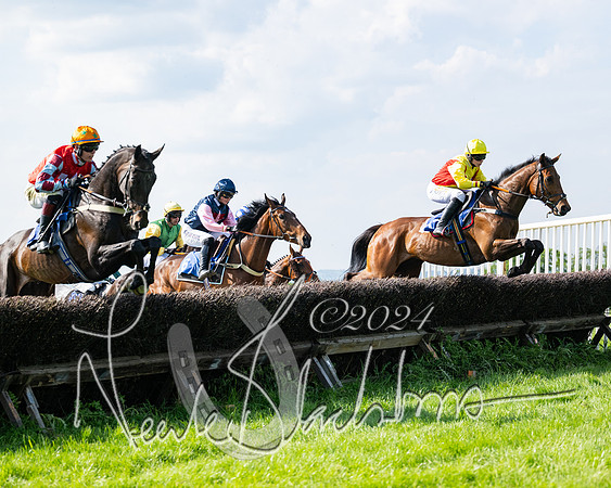 Race 5  - Maiden race 2m5F Div-1 (125 of 197)