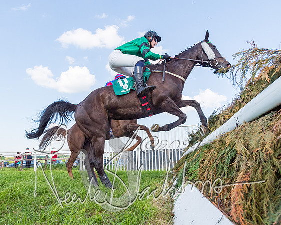 Race 7 - Veteran Horse (66 of 246)