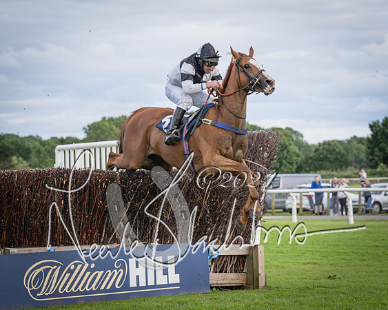 Race 1 - Pointing Pointers Restricted Final (59 of 79)