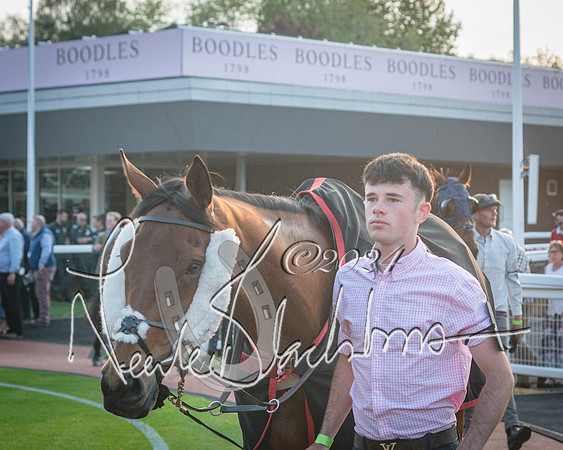 Race 6 - The Brooklands watches Golden Miller chronograph open hunter’s steeplechase 4m 97y (24 of 396)
