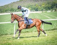 Race 2 The Highwayman Inn Restricted Race (15 of 144)