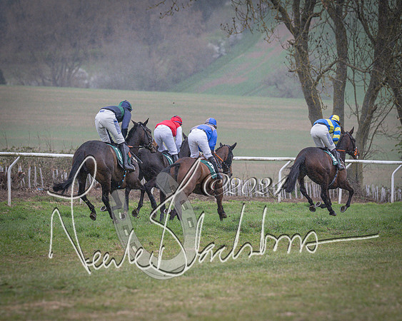 Race 7 - The Jockey Club maiden race for Mares and Fillies only (61 of 96)