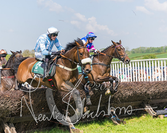Race 2 - The Maiden  (248 of 442)
