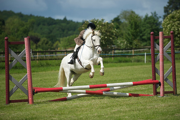 SOHS PC Summer Show at BCA 17th June 2012