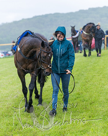 Race 1 - Owner-Trainer Conditions  (39 of 392)