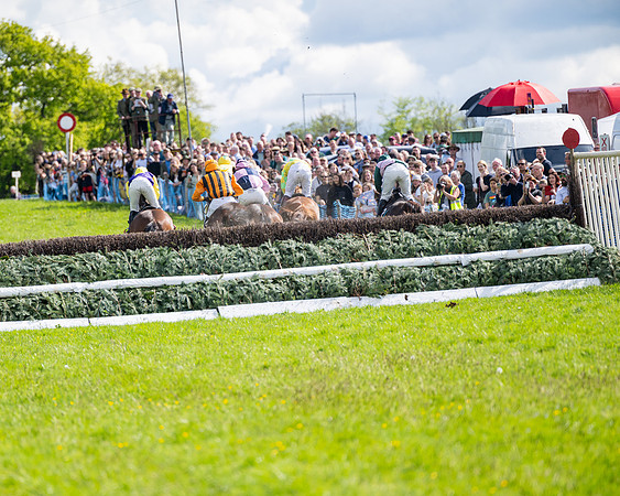 Race 4 -  2M4F Conditions  (71 of 102)
