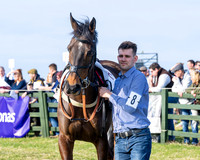 Race 5 - PPORA Five years and over (14 of 163)