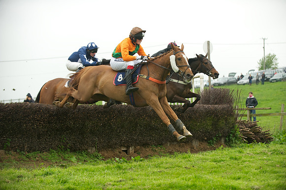 Race 2 - Novices 36