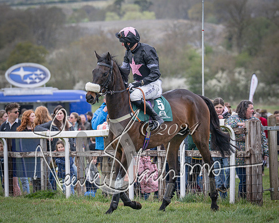 Race 3 - 5 years old and Over Maiden Race (15 of 130)