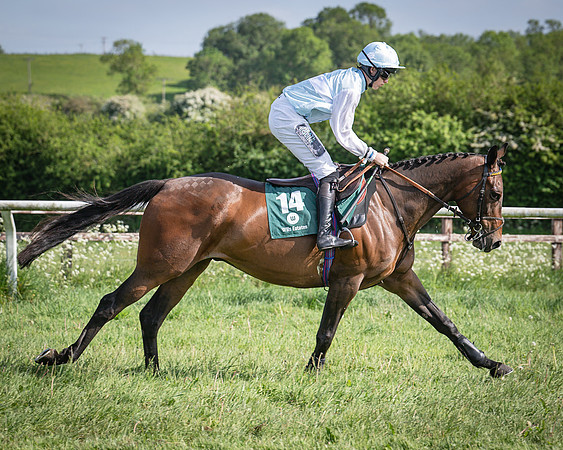 Race 5 - Restricted (28 of 116)