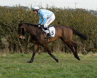 Race 6 - Open Maiden Race (8 of 99).jpg