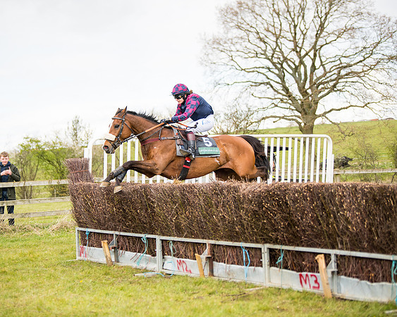 Race 3 - Owner Trainer conditions (103 of 132)