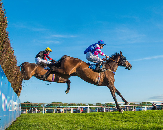 Race 5 - White Swan Hotel Handicap (33 of 80)