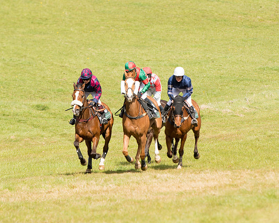 Race 3 - Owner Trainer conditions (57 of 132)