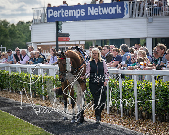 Race 2 - Olly Murphy Racing Stratford Ladies Open (11 of 111)
