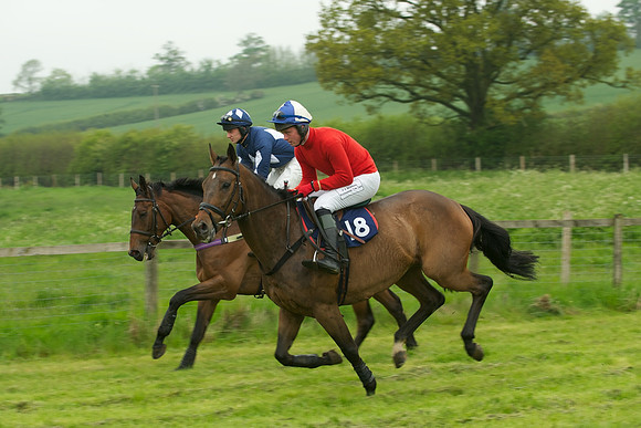Race 2 - Novices 8