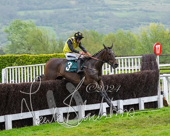 Race 5 - Mares Open  (62 of 129)