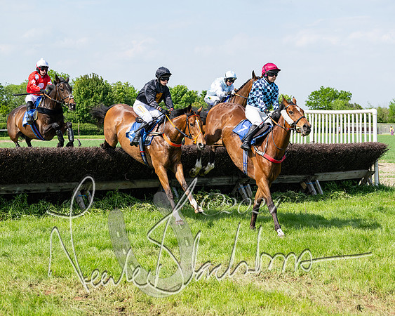 Race 3 - Ladies Open  (78 of 133)