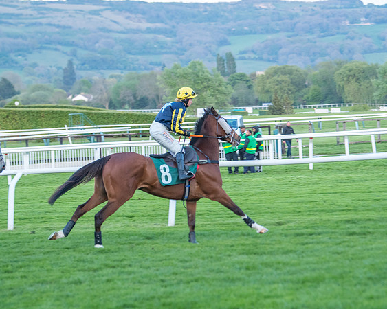 Race 7 - Glos Hussars  (83 of 245)