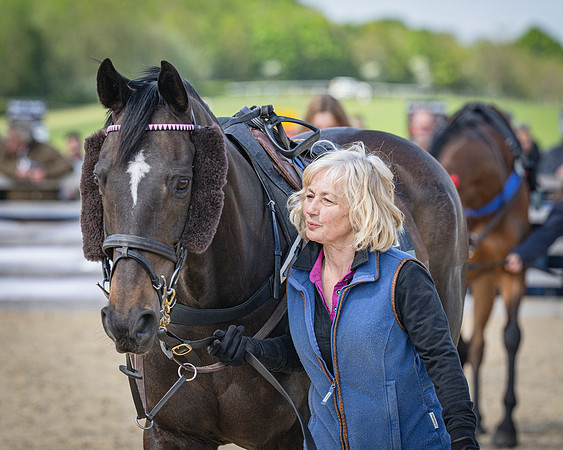 Race 2 - Winkworth conditions race 2m 4f (5 of 126)