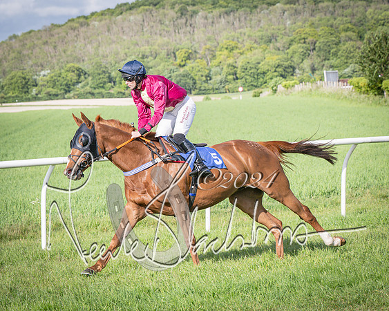 Race 6 - Thorn Plant Hire Maiden Race (38 of 129)