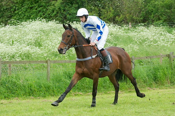 Race Six 2