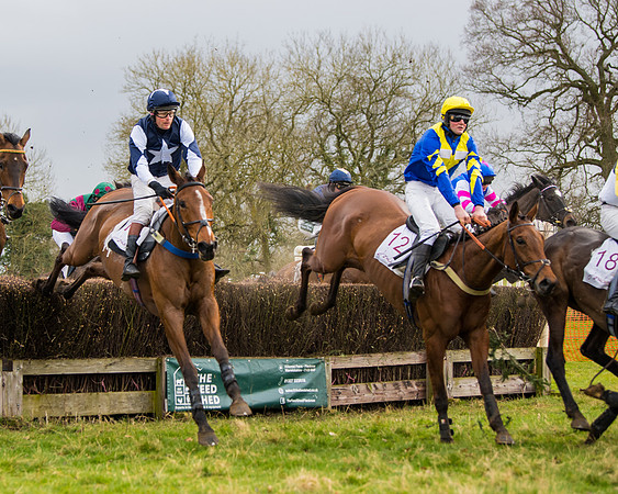 Race 2 - Open Maiden (82 of 128)