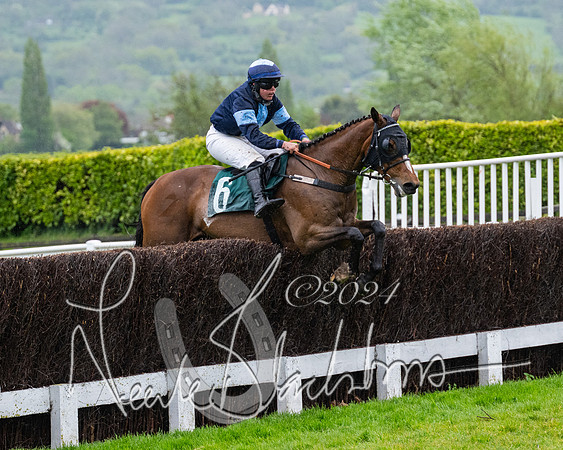 Race 5 - Mares Open  (72 of 129)